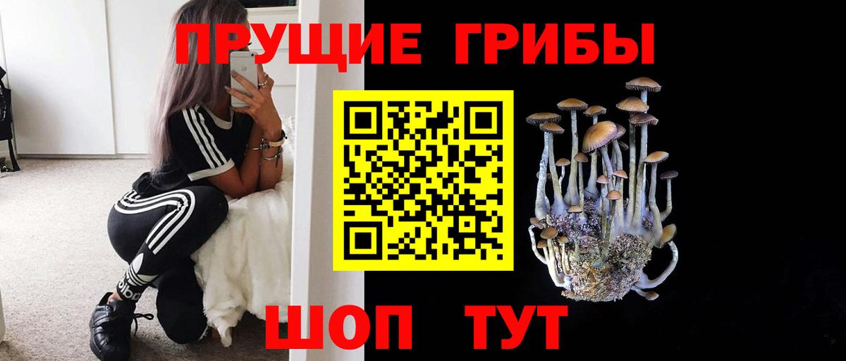 Краснознаменск  Псилоцибиновые грибы Psilocybine cubensis  Вход с VPN  Псилоцибиновые грибы GOLDEN TEACHER 
