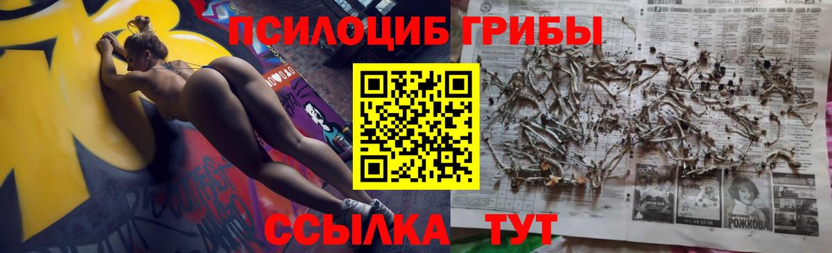 Галлюциногенные грибы Psilocybine cubensis Краснознаменск